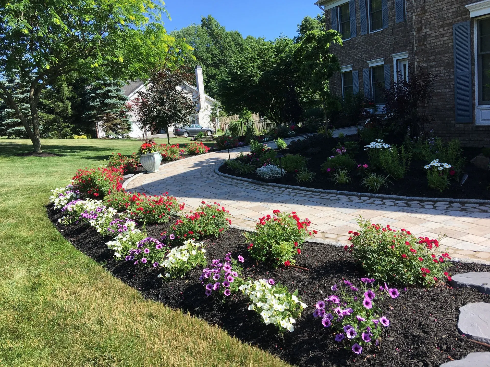 Landscape Cleanups project 2 in Euless