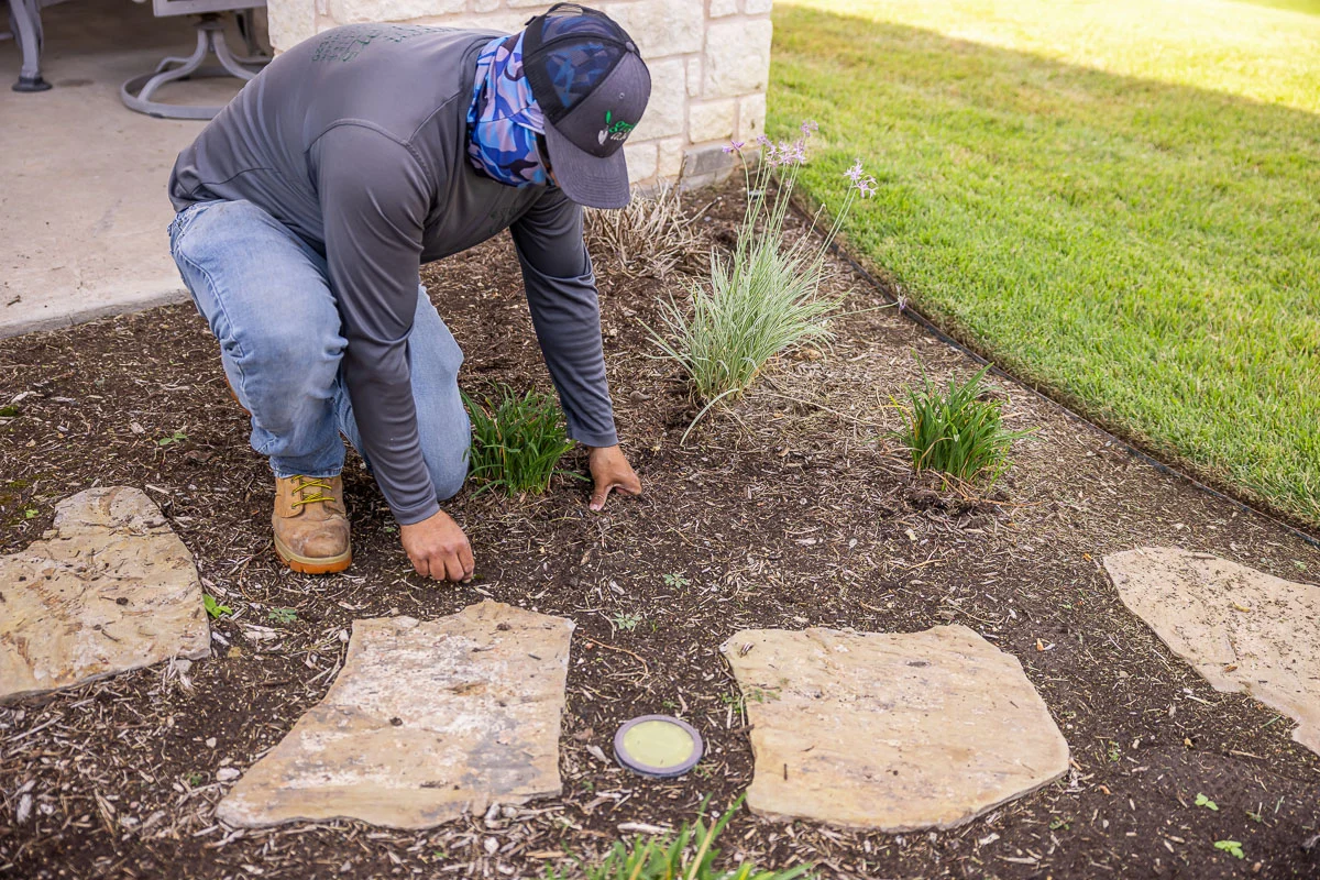 Landscape Cleanups project 3 in Euless