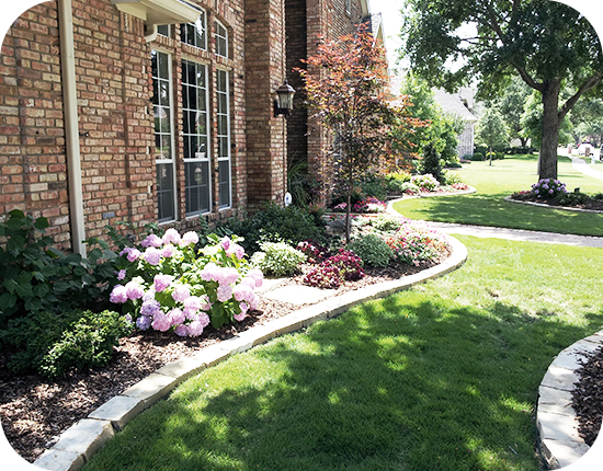 Landscape Design project 6 in Euless