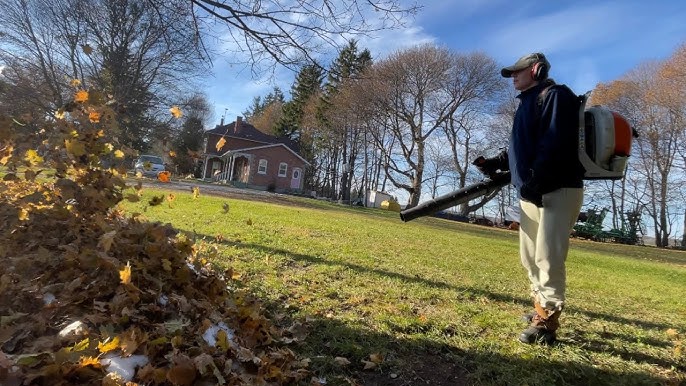Why Fall Leaf Cleanup is Essential for Your Lawn