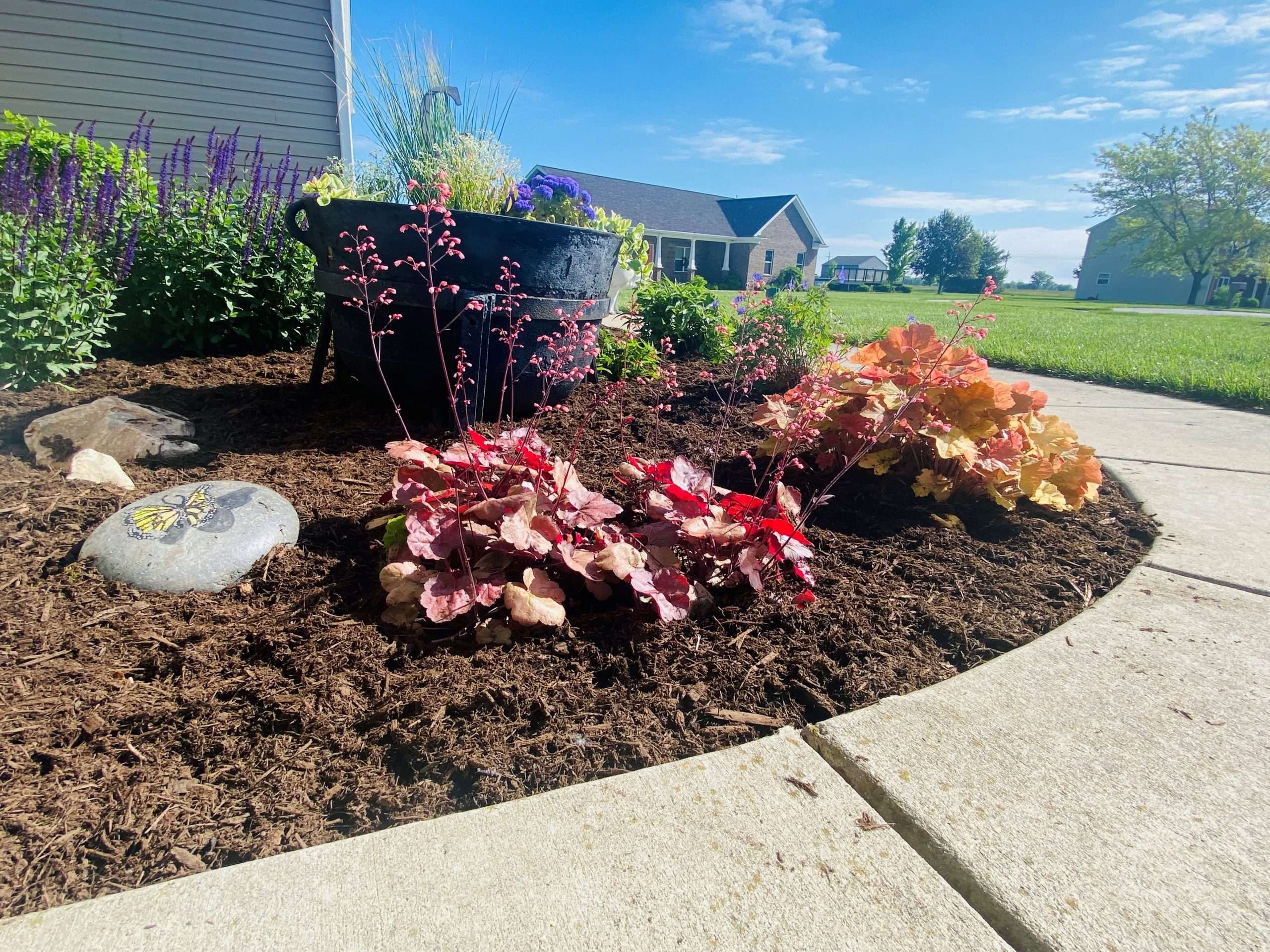 The Ultimate Guide to Mulching Your Landscape